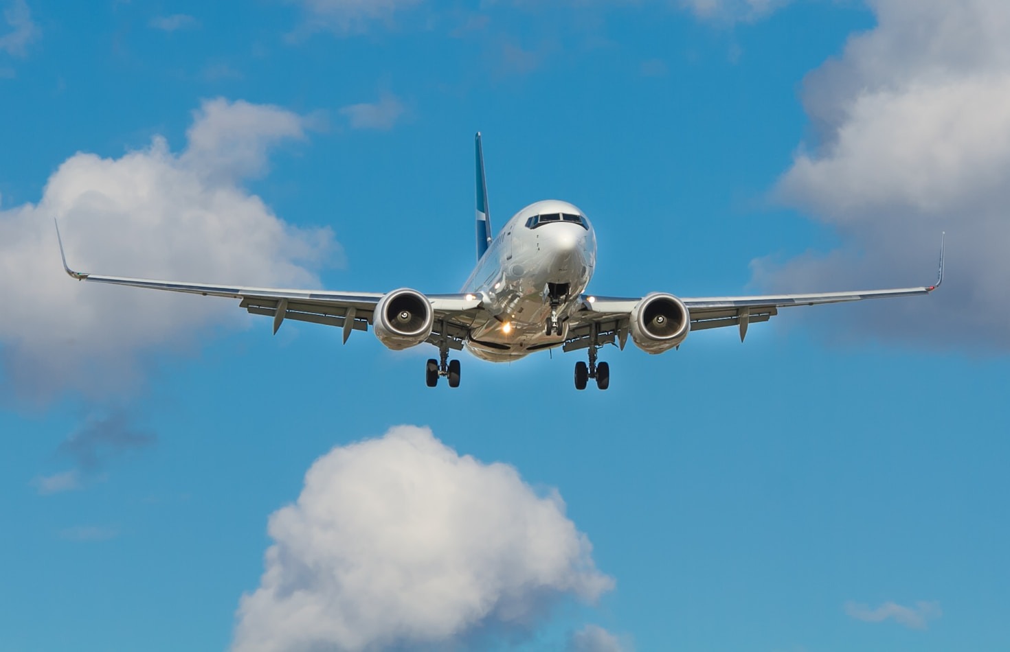 All You Need to Know About Special Travel Services